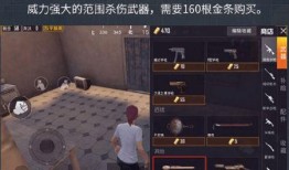 吃鸡新家具爆料视频,视频爆料带你领略游戏新风尚